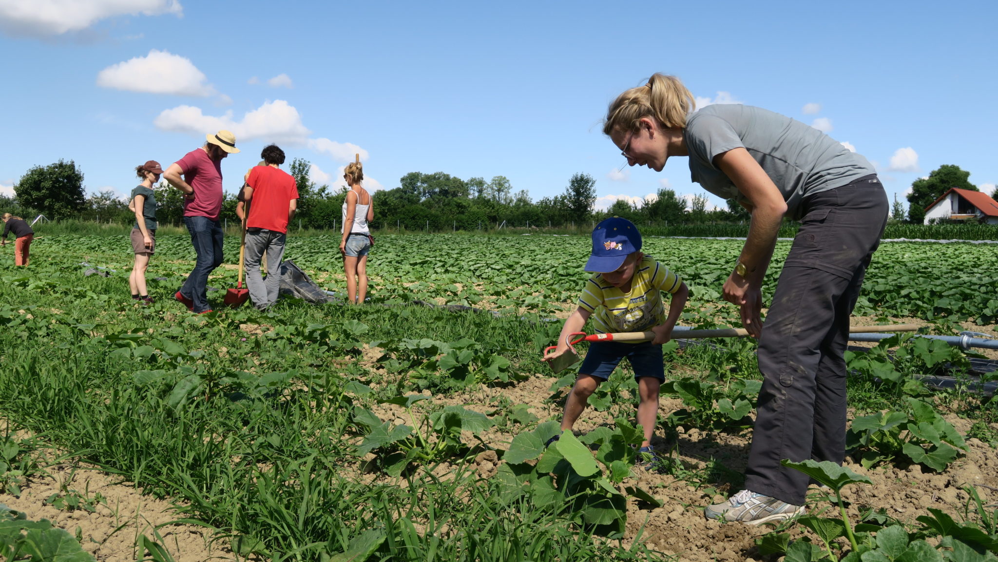 Solidarische Landwirtschaft – Arbeitsgemeinschaft der Solawi